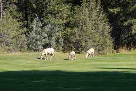 British Columbia - britishcolumbia2023_003.jpg15K