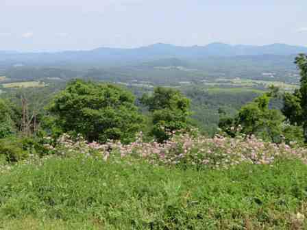 Virginia - virginia2023_000.jpg15K